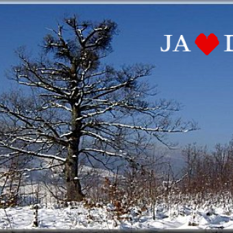 PANORAMA ZIMA<br /><i>65 Slika</i>